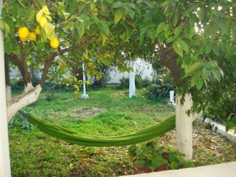 Artistic House In Limni Evias Villa Exterior foto